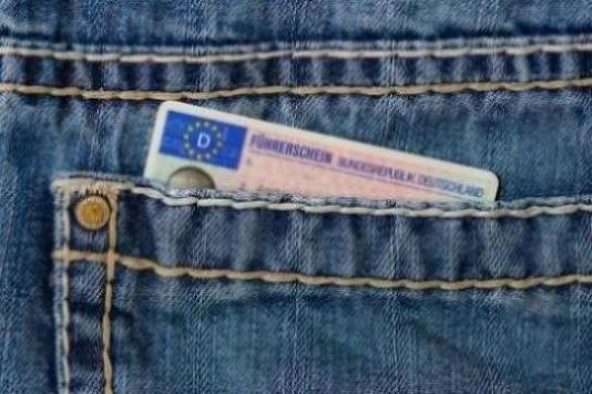网上怎样查驾驶证信息查询？